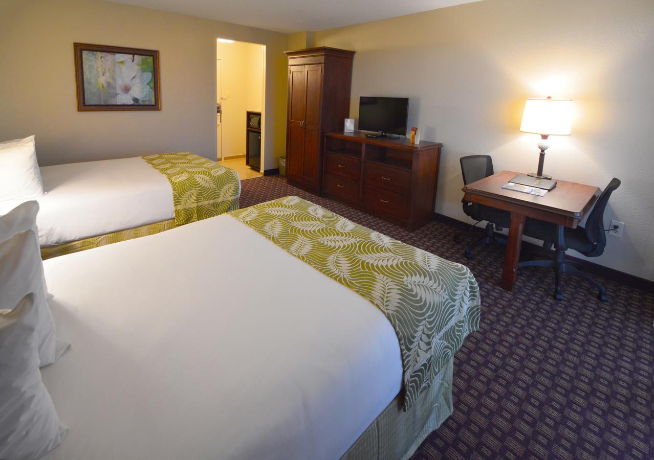 Rosen Inn Closest To Universal - thumb 4