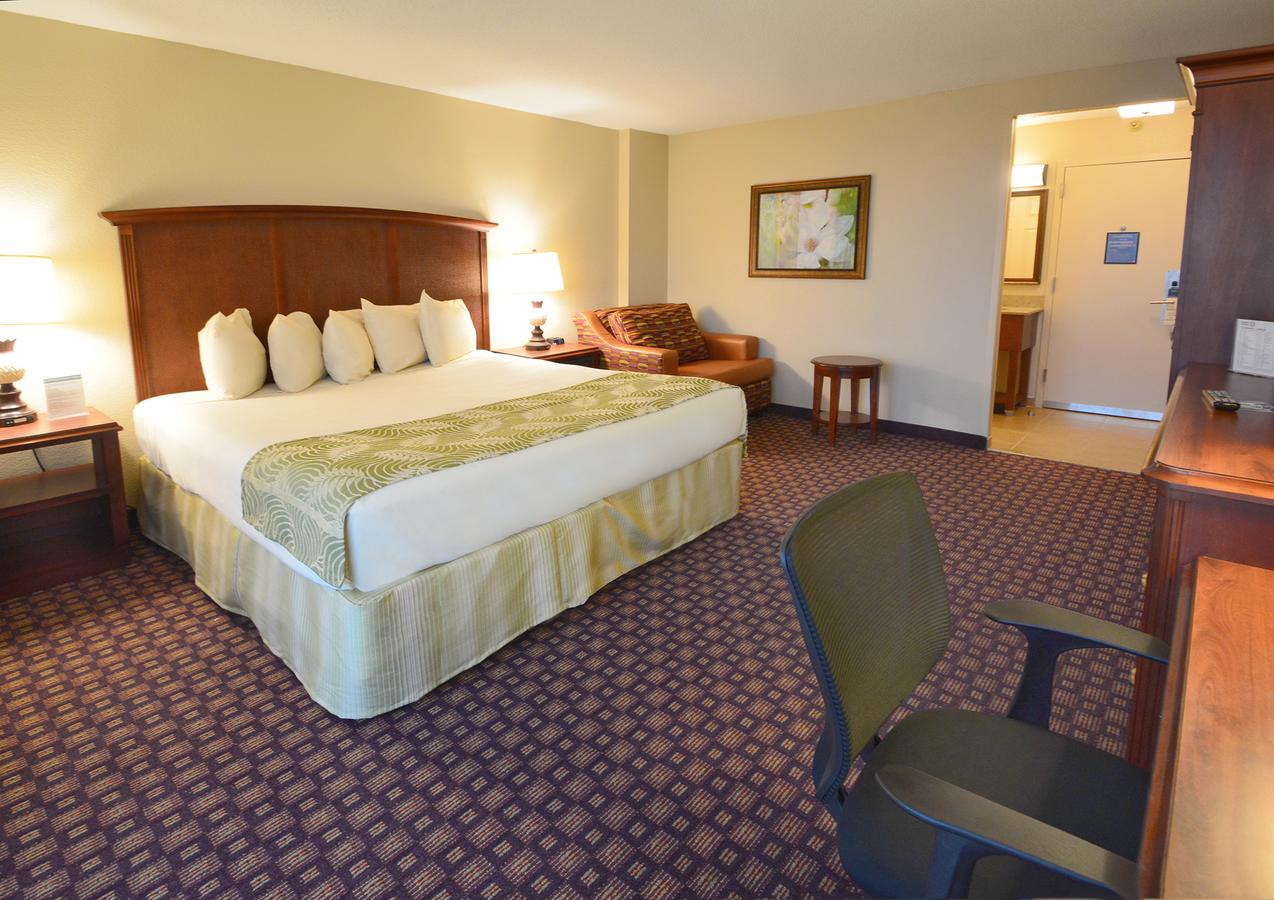 Rosen Inn Closest To Universal - thumb 7
