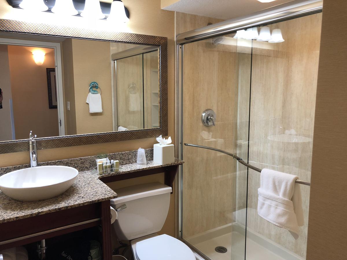 Holiday Inn Hotel & Suites Clearwater Beach - thumb 11
