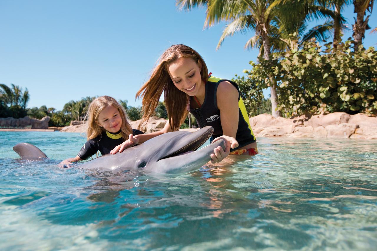 Fairfield Inn Suites By Marriott Orlando At SeaWorld - thumb 32