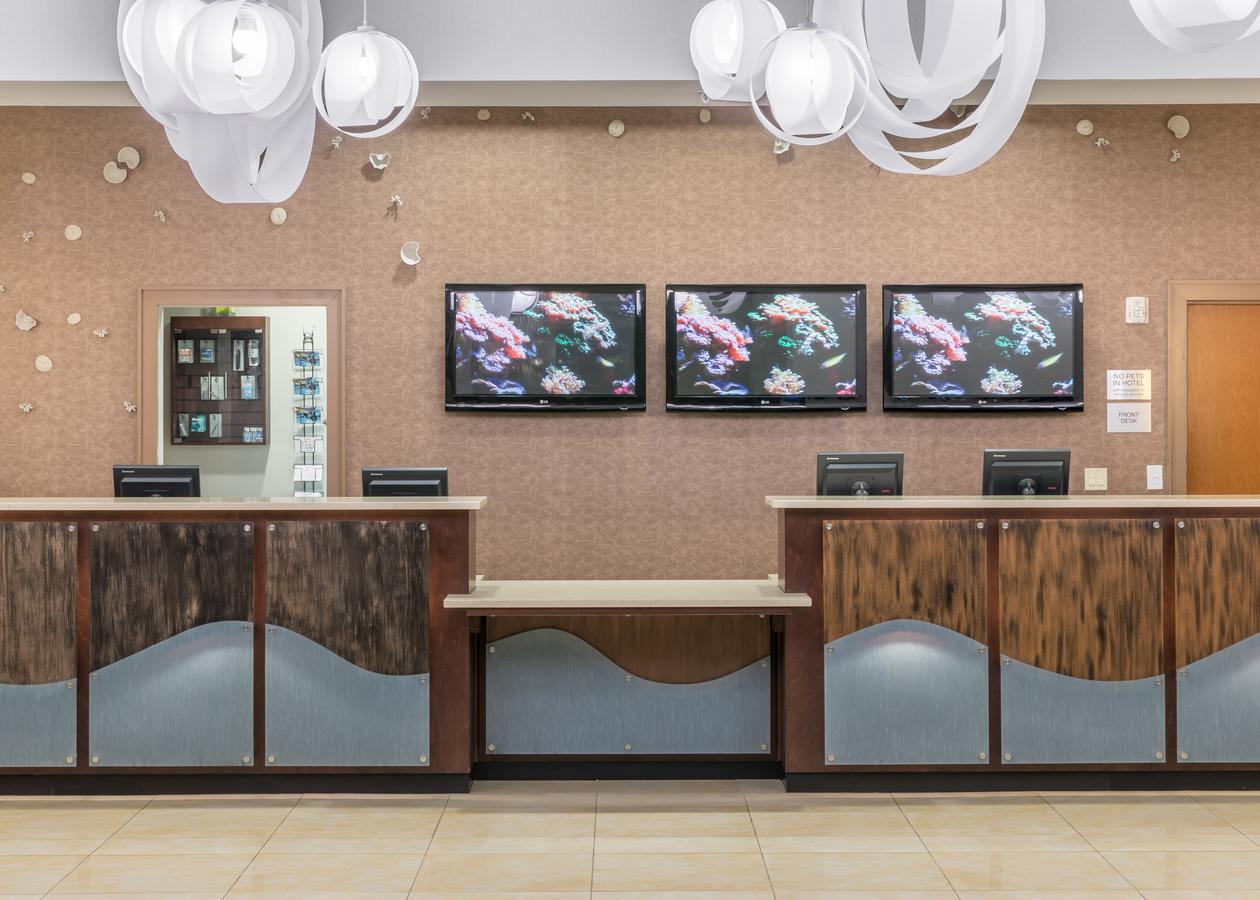Fairfield Inn Suites By Marriott Orlando At SeaWorld - thumb 14