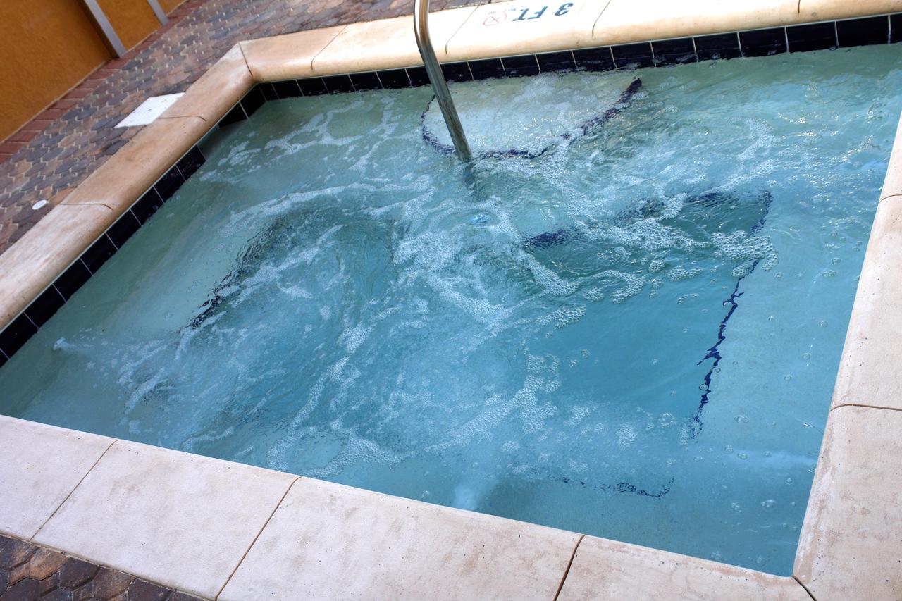 Radisson Hotel Orlando - Lake Buena Vista - thumb 16
