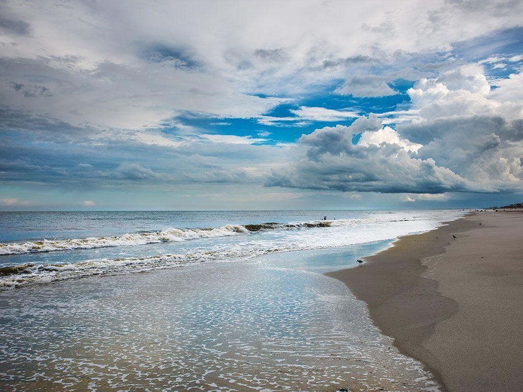 Amelia Island Oceanfront 2 Kings - thumb 39