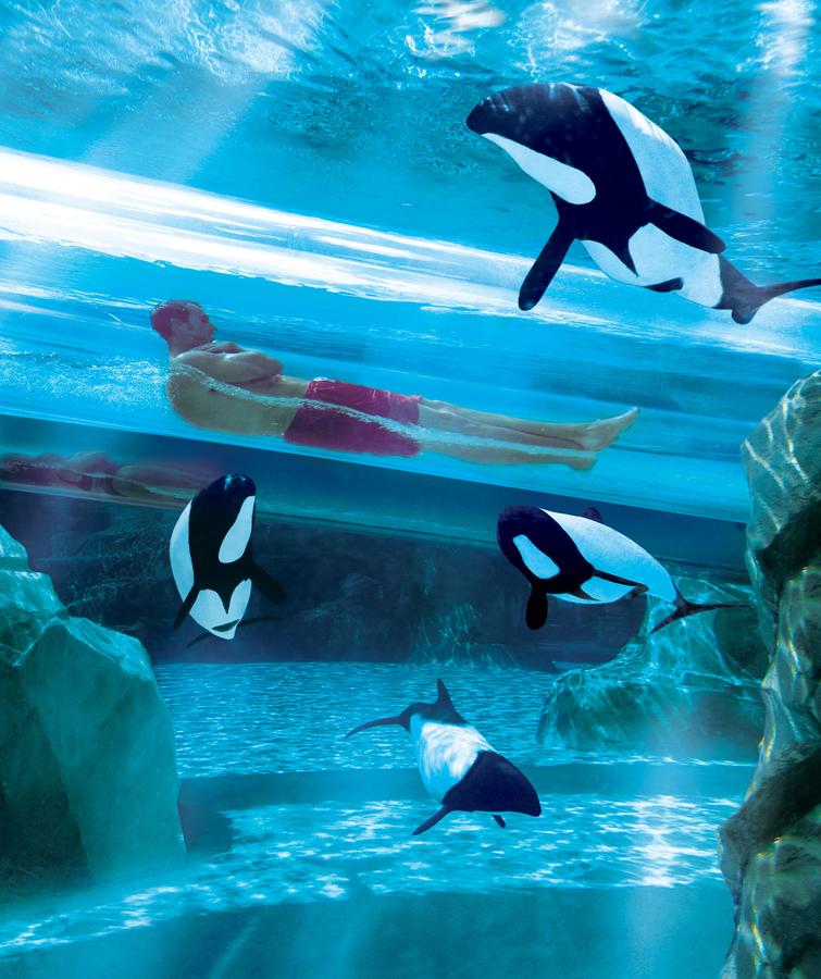 SpringHill Suites By Marriott Orlando At SeaWorld - thumb 24
