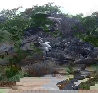 Create Your Own Dallas and Fort Worth Combination Tour - Orlando Tourists