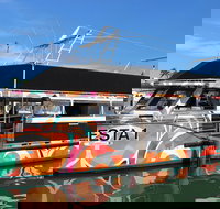 Miami Celebrity Homes Cruise - Orlando Tourists