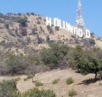 Half Day Hollywood and Beverly Hills Tour - Orlando Tourists