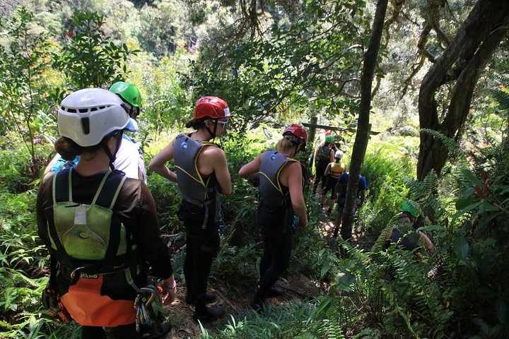 Rappel Maui Waterfalls And Rainforest Cliffs - thumb 5