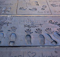 Hollywood Celebrity Homes Tour - Orlando Tourists