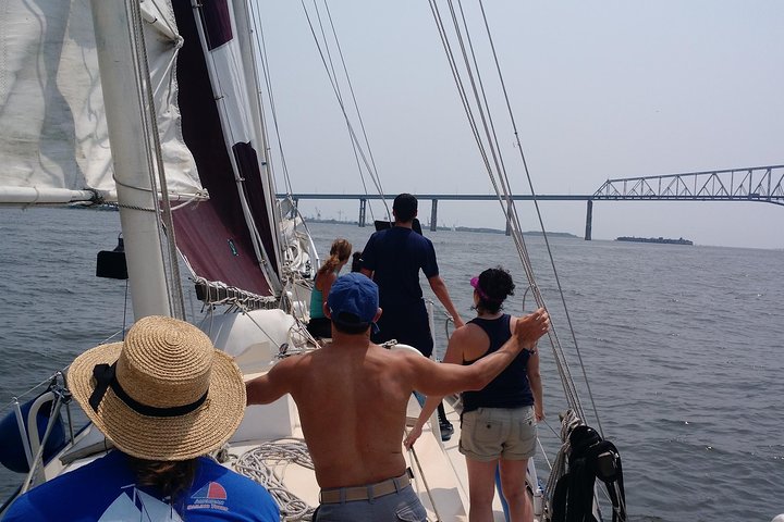 Harbor Sail On Summer Wind - thumb 2