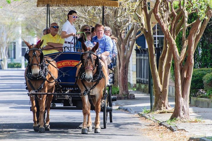 Evening Horse-Drawn Carriage Tour Of Downtown Charleston - thumb 4