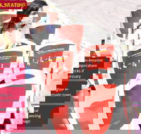 Big Bus Chicago Hop-On Hop-Off Tour - Orlando Tourists