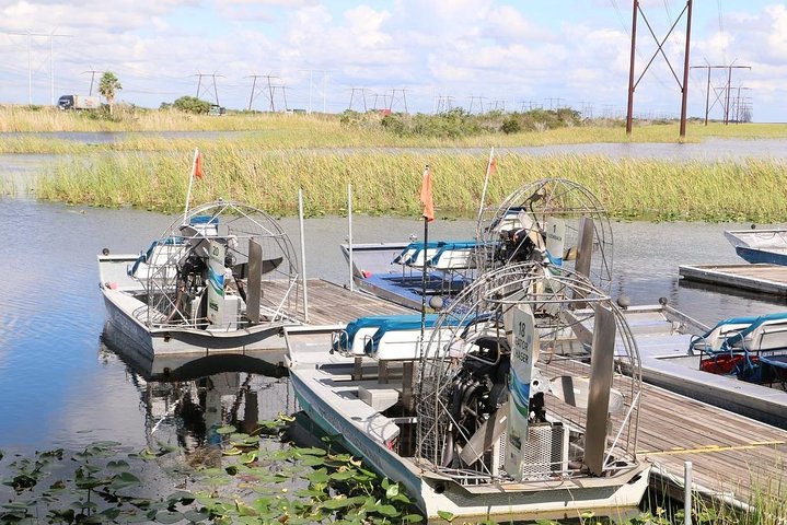 Everglades Airboat Safari - thumb 5