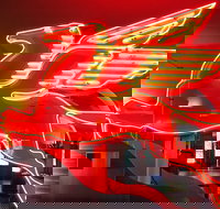 JFK Food and Culture Tour in Dallas - Orlando Tourists