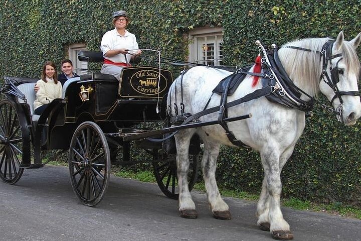 Haunted Evening Horse And Carriage Tour Of Charleston - thumb 1