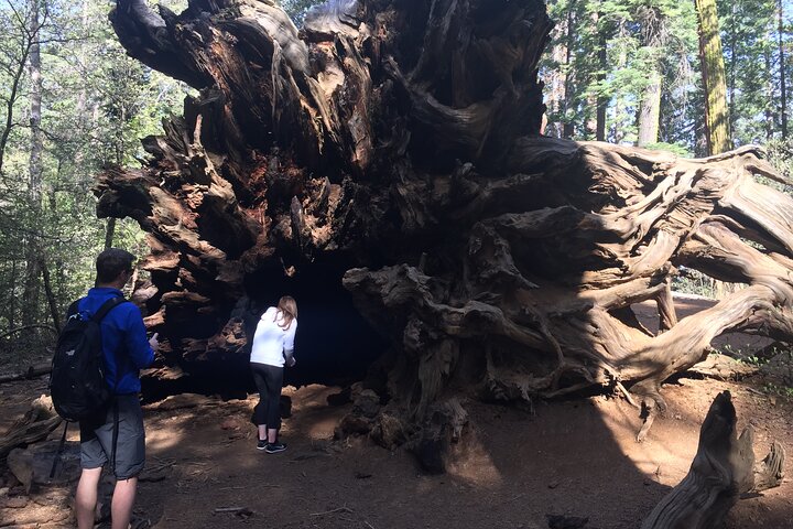 One Day In Yosemite Private TourYosemite Valley Glacier Point  Giant Sequoias