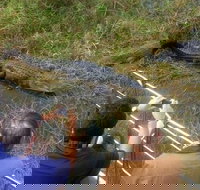 Everglades Tour in Miami - Orlando Tourists