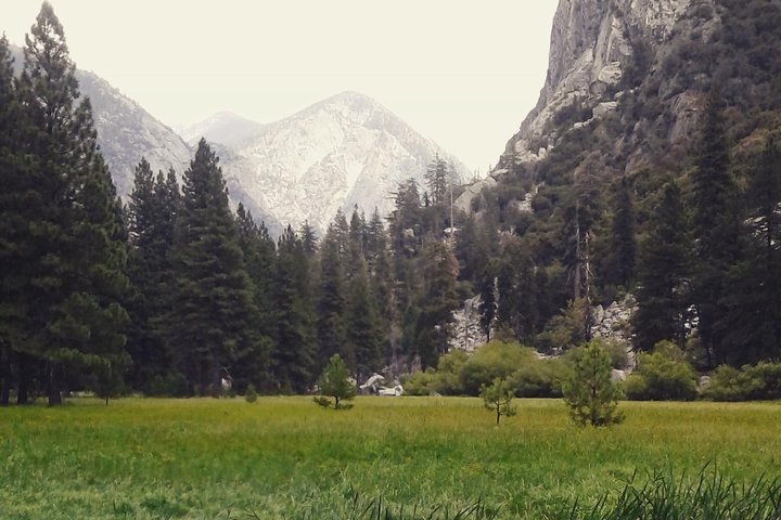 Private Guided Hiking Tours - Sequoia and Kings Canyon National Parks