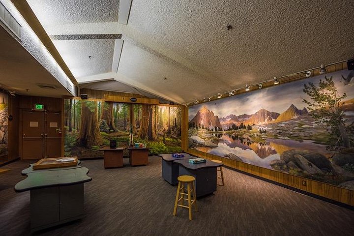 Book Viator Accommodation Vacations, Orlando Tourists Orlando Tourists