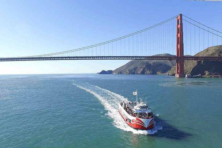 City Tour With Bay Cruise Highlights Of San Francisco By Land And Sea! - thumb 5