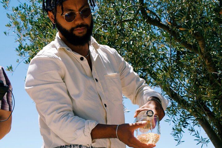 Private All-Inclusive Mexican Wine-Tasting Tour From San Diego - thumb 1