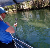 Manatee Viewing Cruise - Orlando Tourists