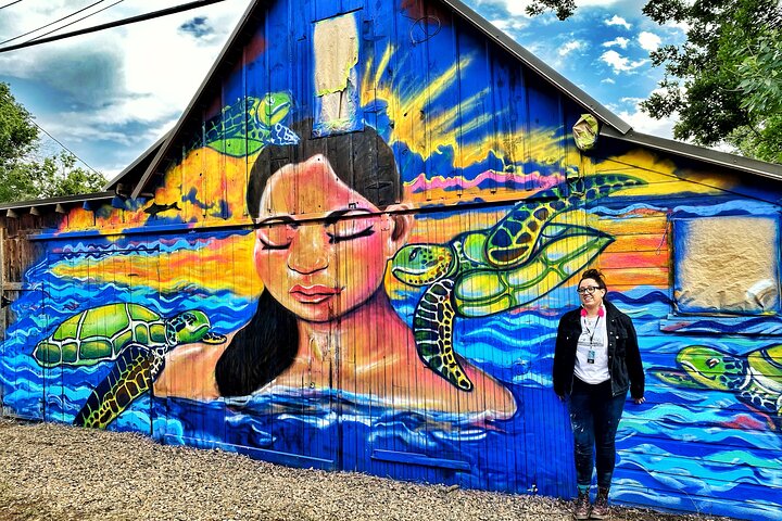 Wall to Wall Boulder eBike Mural Ride 3 hours