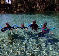 Small group Manatee snorkeling tour with in water guide - Orlando Tourists