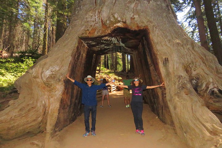 Yosemite National Park 2-Day Private Tour Package Hotel Accommodation Included - thumb 5