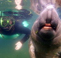 Private Manatee Tour - Orlando Tourists