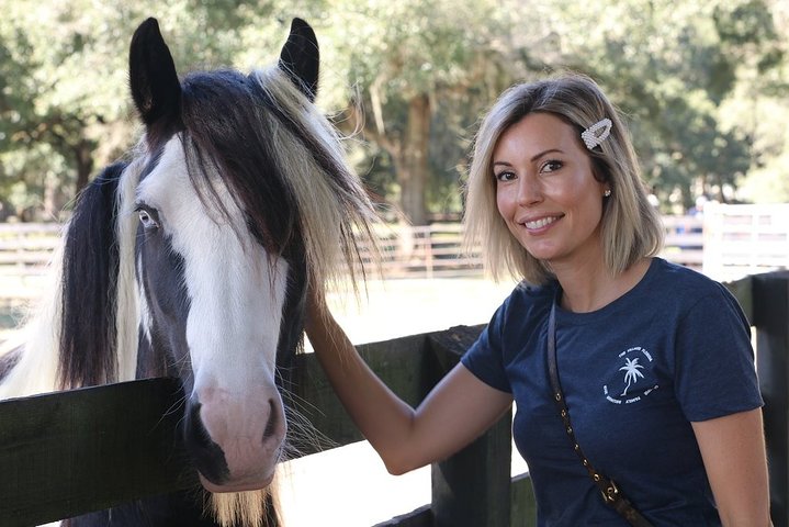 Gypsy Gold Horse Farm Tour - thumb 2