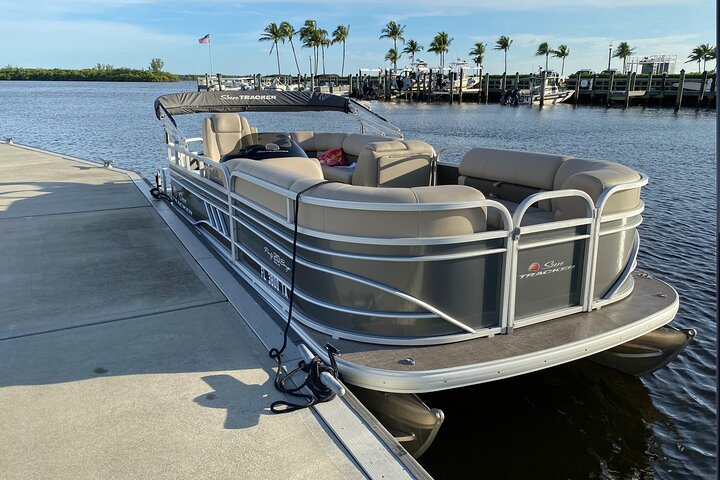 Daytime Dolphin Cruise - thumb 2