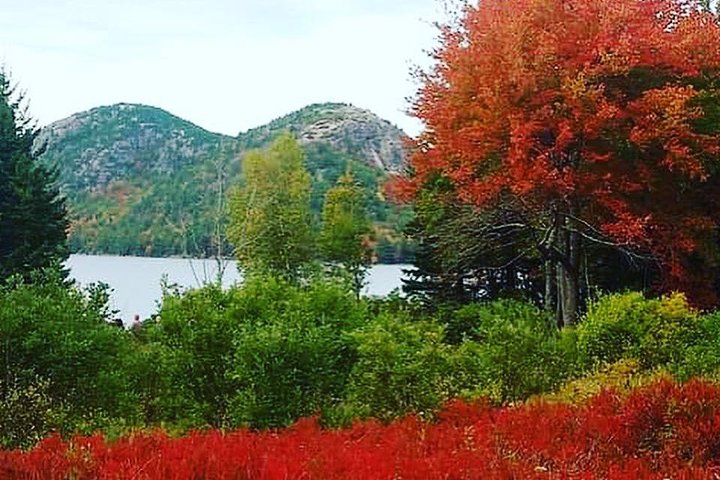 Narrated Bus Tour of Bar Harbor and Acadia National Park Classic - 2.5 Hours