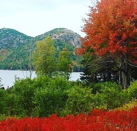 Narrated Bus Tour of Bar Harbor and Acadia National Park Classic - 2.5 Hours - Orlando Tourists