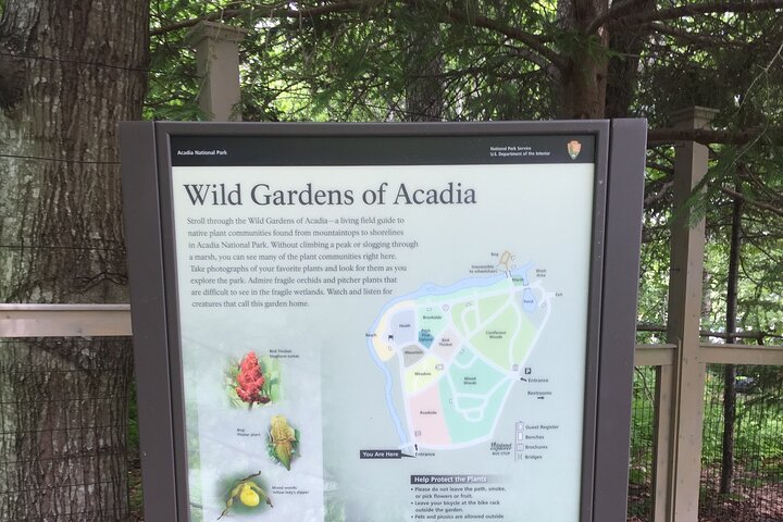 Premium Narrated Bus Tour of Bar Harbor and Acadia National Park 3.5 Hours