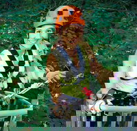 Fully Guided Zipline Canopy Tour through Kentucky River Palisades - Orlando Tourists