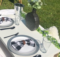 Outdoor Luxury Themed Picnic Setup in Detroit - Orlando Tourists