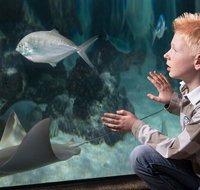 SEA LIFE Michigan Aquarium Admission Ticket - Orlando Tourists