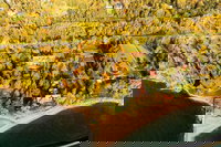 Hoffman Mn Orlando Tourists