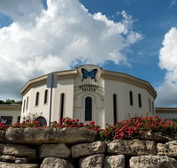 Branson Butterfly Palace Admission Ticket - Orlando Tourists