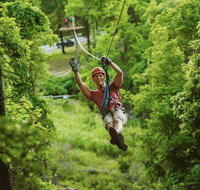 Zipline Canopy Tour in Branson - Orlando Tourists