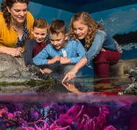 SEA LIFE New Jersey at American Dream - Orlando Tourists