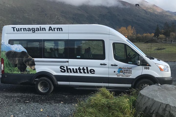 Bear Feeding At The Alaska Wildlife Conservation Center - thumb 2