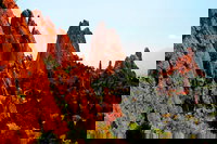 Drake Co Orlando Tourists