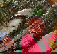 Grizzly Falls Ziplining Expedition - Orlando Tourists