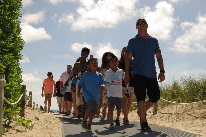 Miami And Everglades Tour In A Luxury Bus - thumb 3