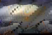 Okc Ok Orlando Tourists