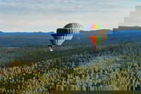 Ames Sd Orlando Tourists