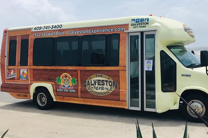 Historic Port, Pirates And Architecture Bus Tour - thumb 1