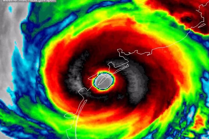 Historic Hurricane and Tree Sculpture Bus Tour in Galveston